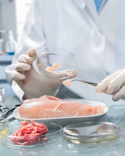 Food safety concept Quality control expert inspecting at food specimen in the laboratory